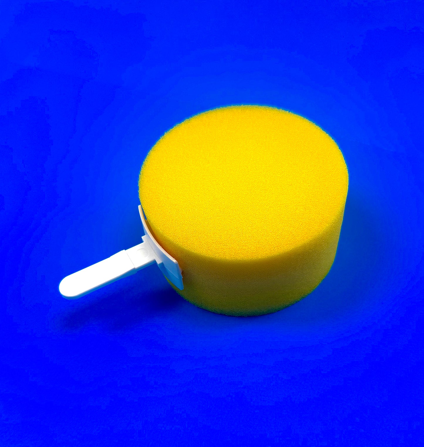 Body Sponge